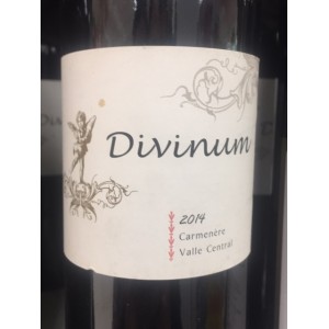 Vinho Tinto Divinum RSV Carmenere 750ML