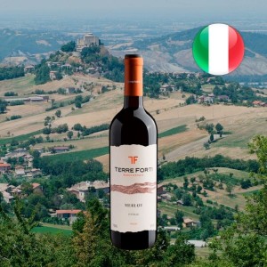 Vinho Tinto Terre Forti Merlot D' Italia 750ML