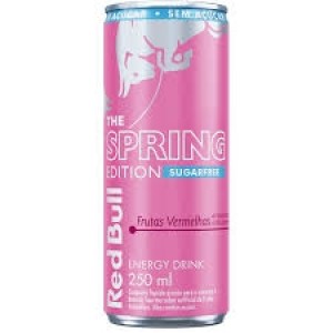 Energético Red Bull Sugar Free 250 ml com 24 unidades