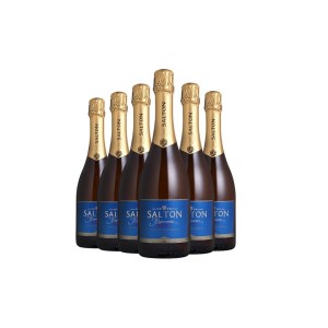 ESPUMANTE BRUT SALTON 750ML 6X1