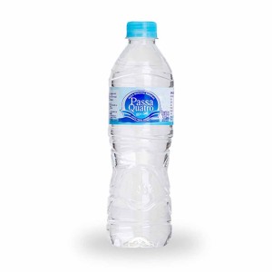 Água Passa Quatro 510ml